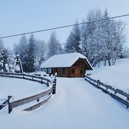 Ferienhaus Gobald Murau Buitenkant foto